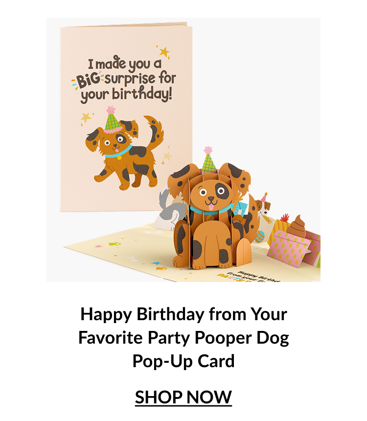 Happy Birthday from Your Favorite Party Pooper Dog Pop-Up Card