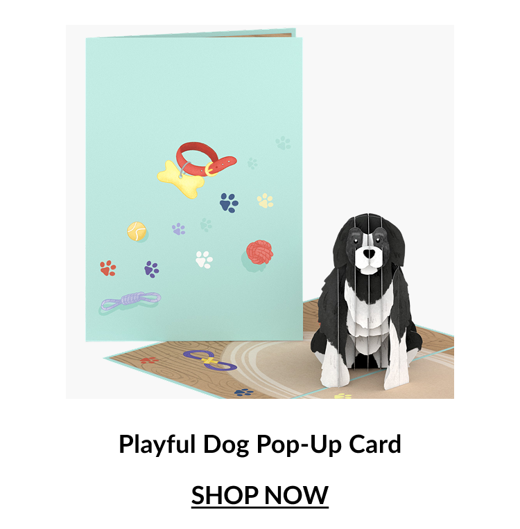 Playful Dog Pop-Up Card