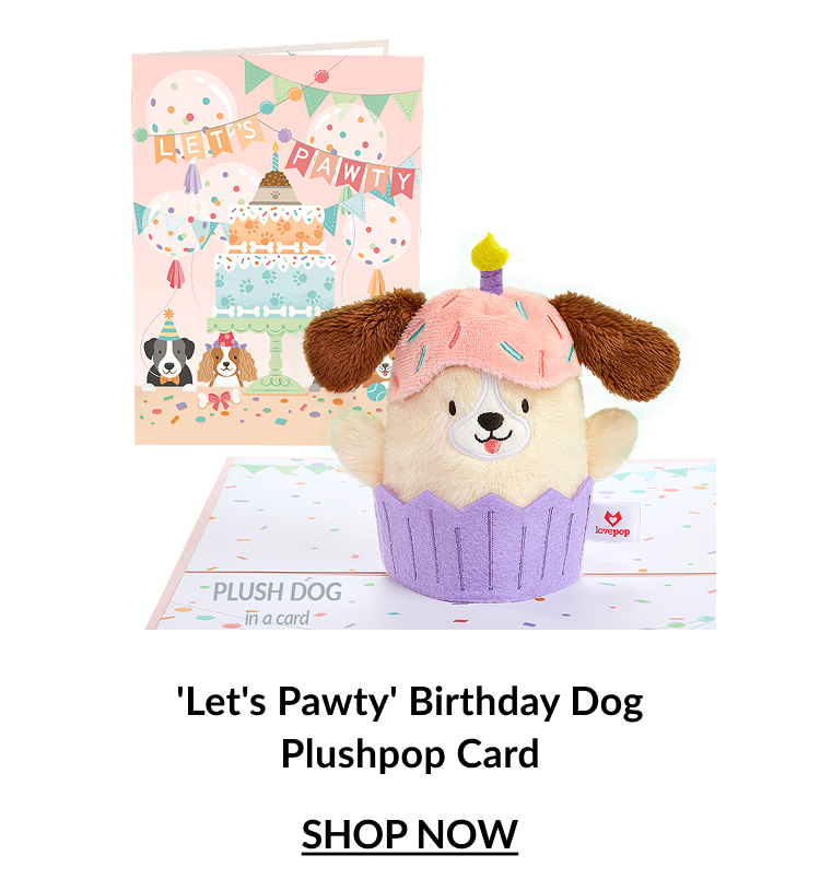 Let's Pawty Birthday Dog Plushpop Card