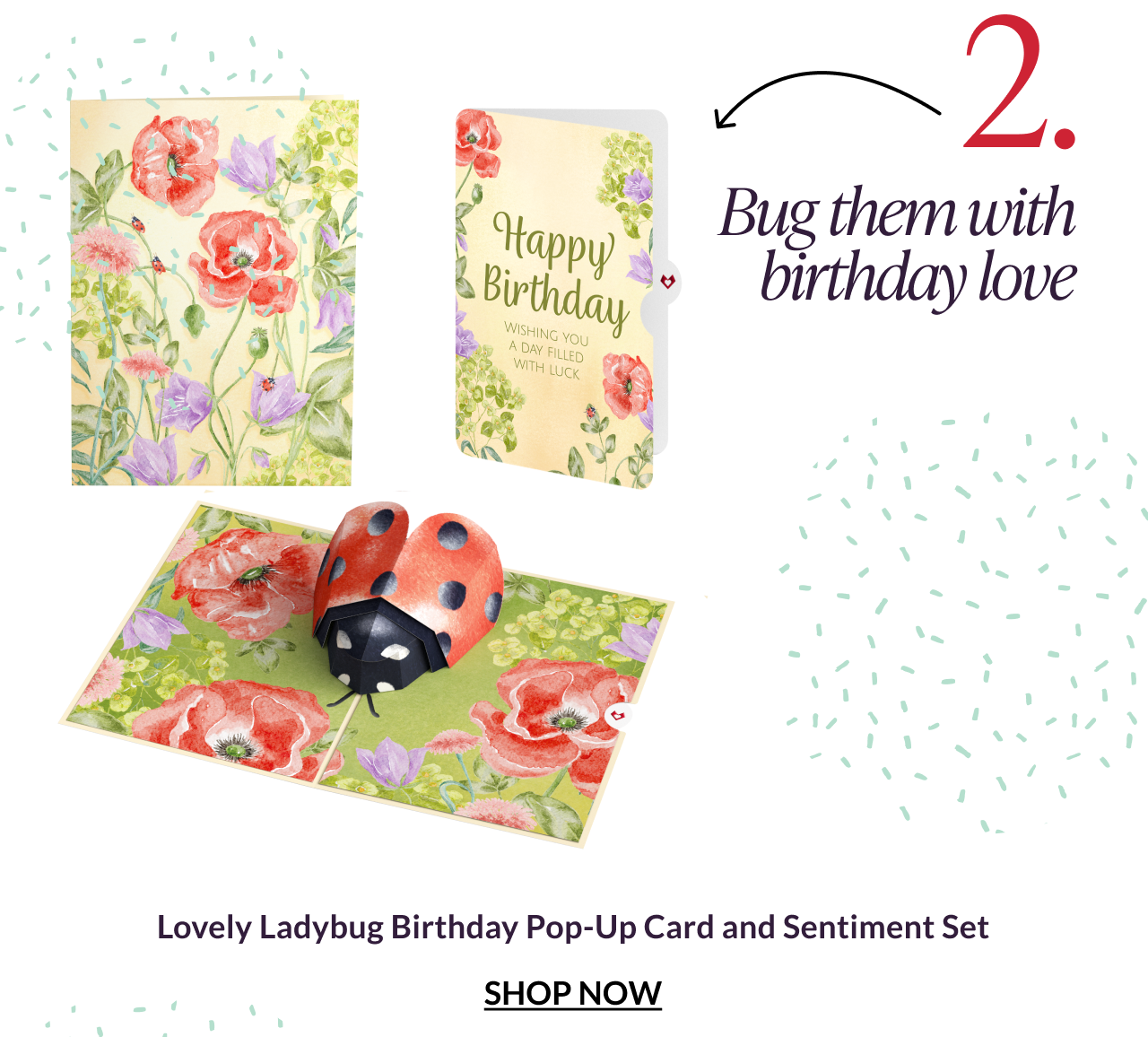 Lovely Ladybug Birthday Pop-Up Card and Sentiment Set