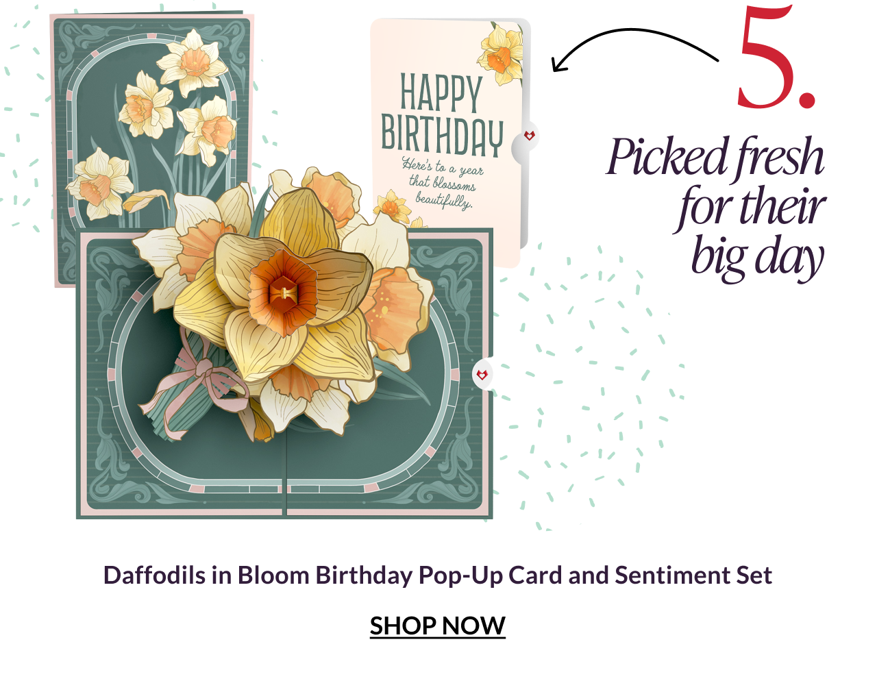 Daffodils in Bloom Birthday Pop-Up Card and Sentiment Set