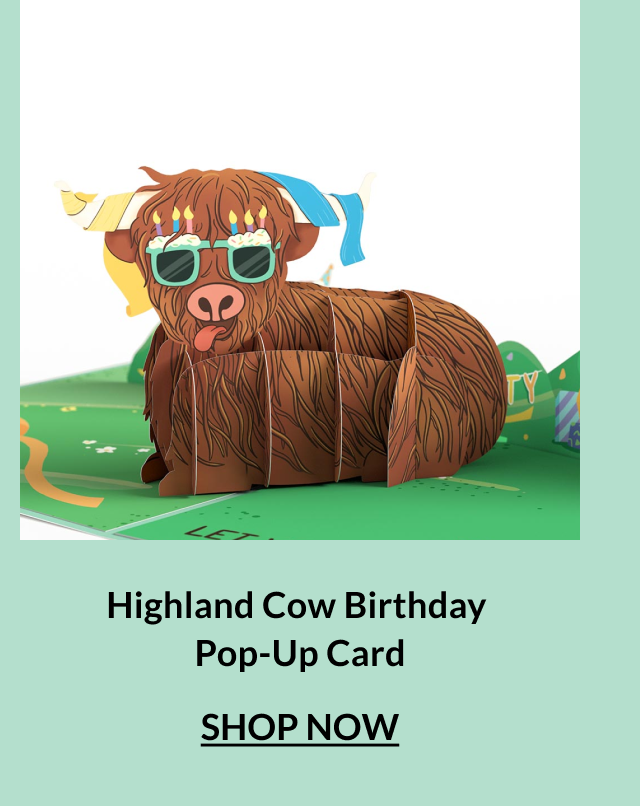 Highland Cow Birthday Pop-Up Card