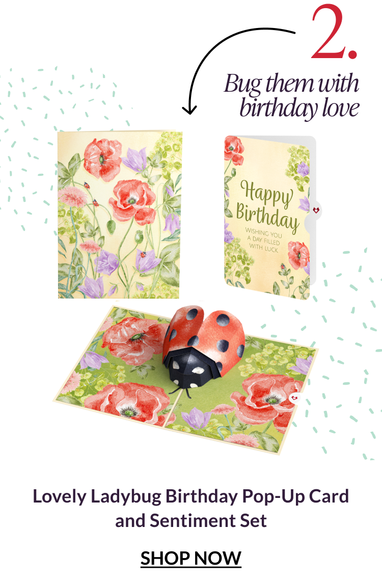 Lovely Ladybug Birthday Pop-Up Card and Sentiment Set