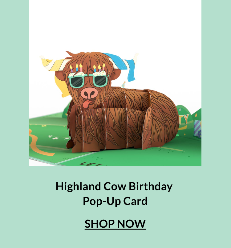 Highland Cow Birthday Pop-Up Card