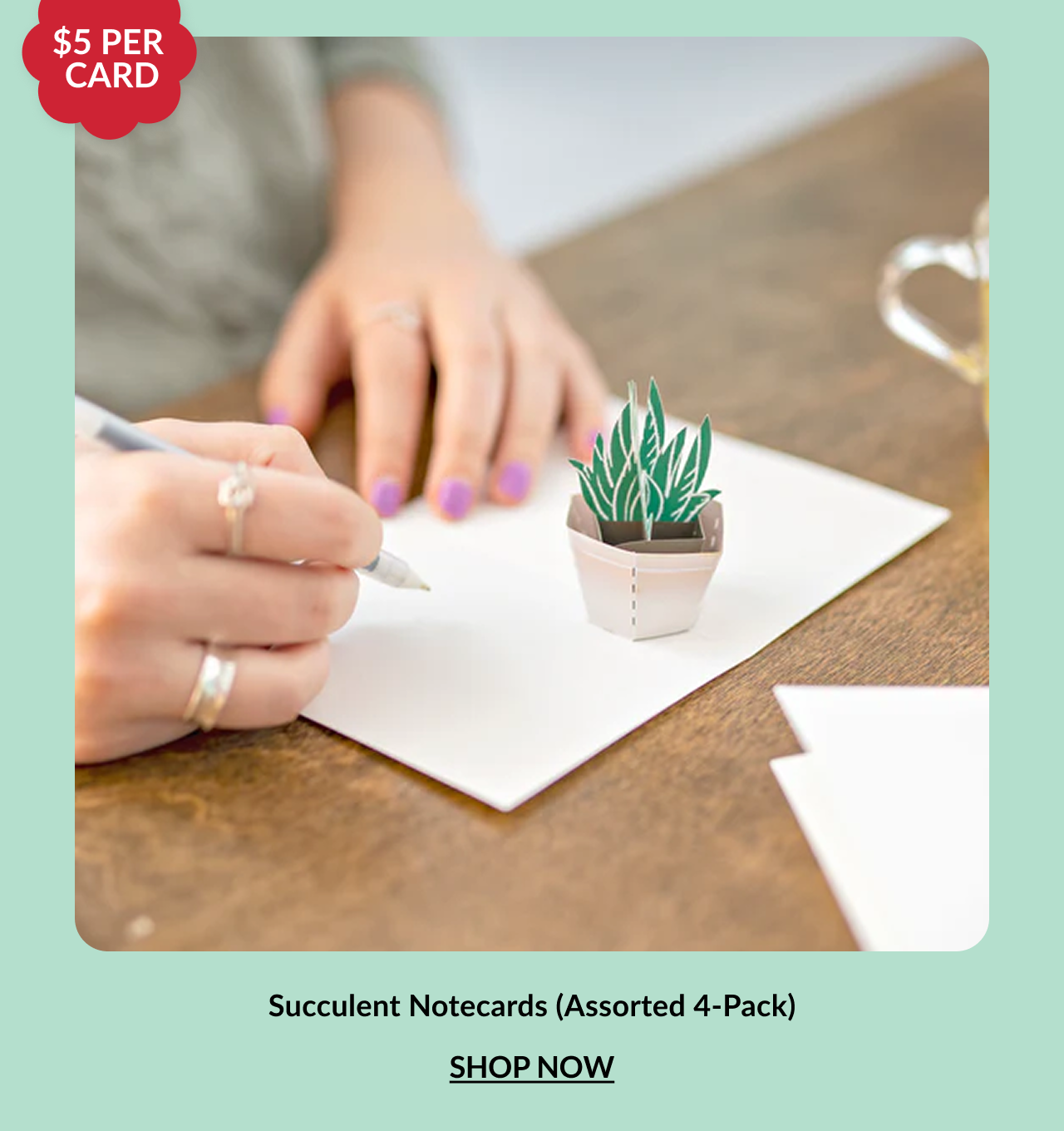 Succulent Notecards Assorted 4-Pack