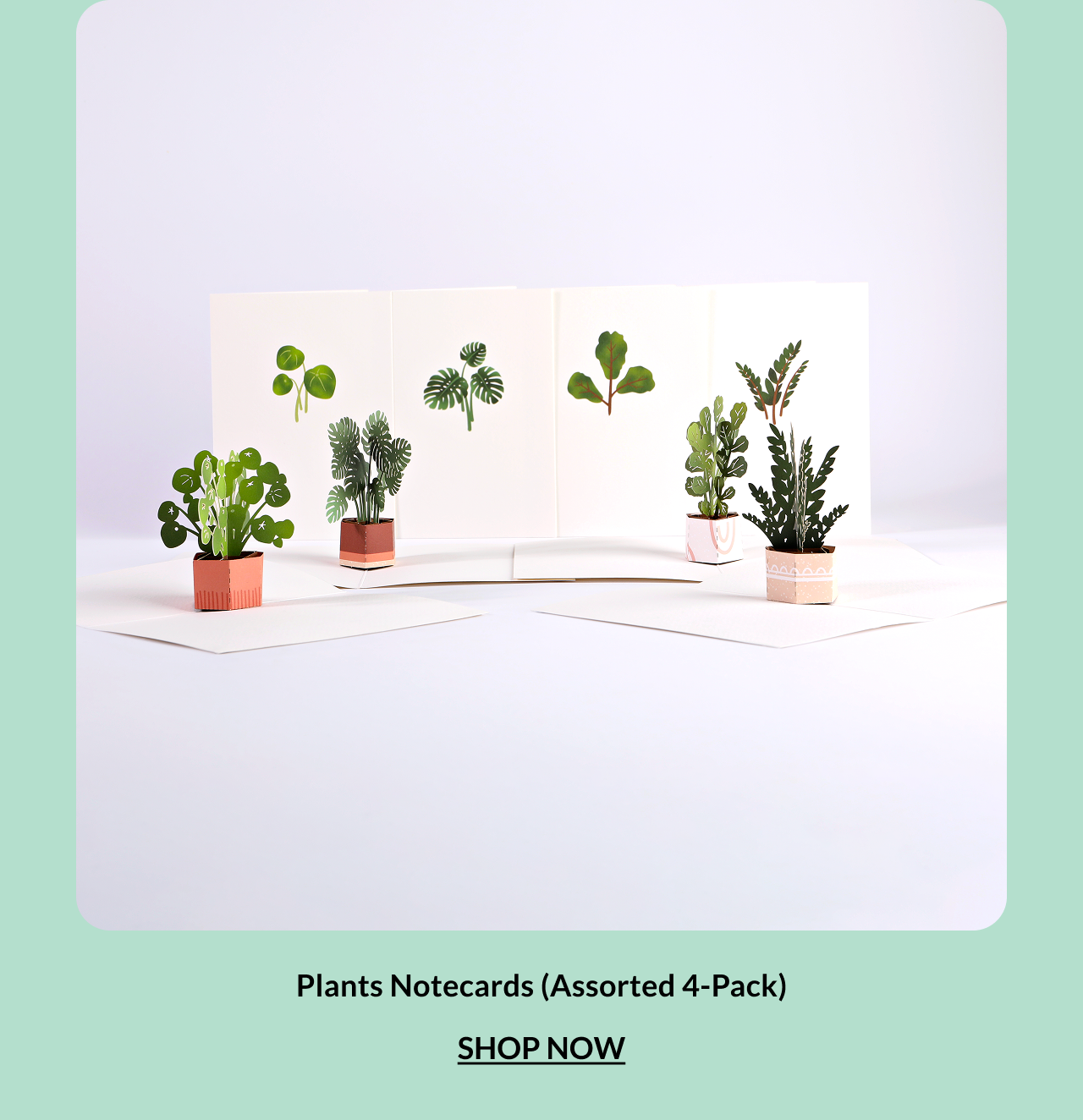 Plants Notecards Assorted 4-Pack
