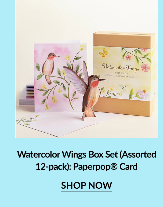 Watercolor Wings Box Set Assorted 12-Pack Paperpop Card