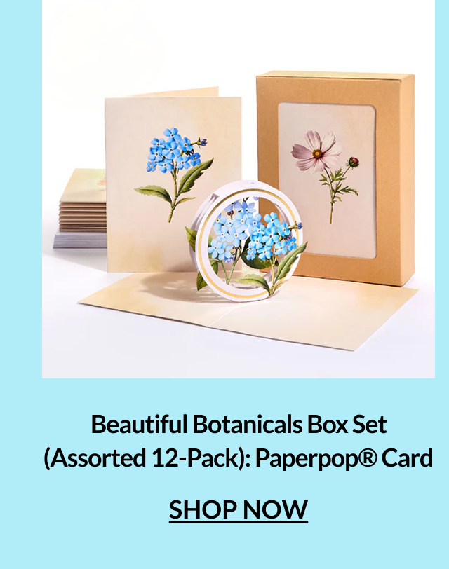 Beautiful Botanicals Box Set Assorted 12-Pack Paperpop Card