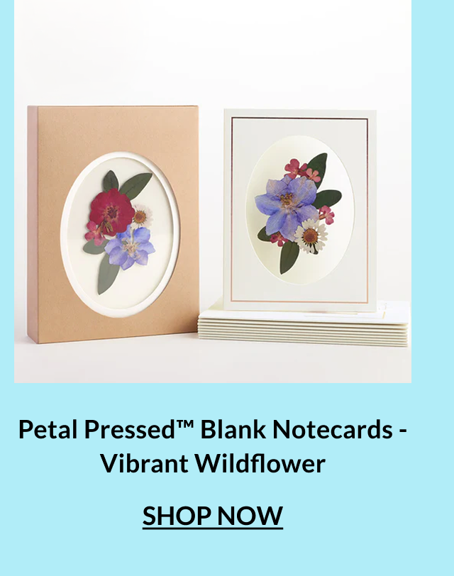 Petal Pressed Blank Notecards Vibrant Wildflower