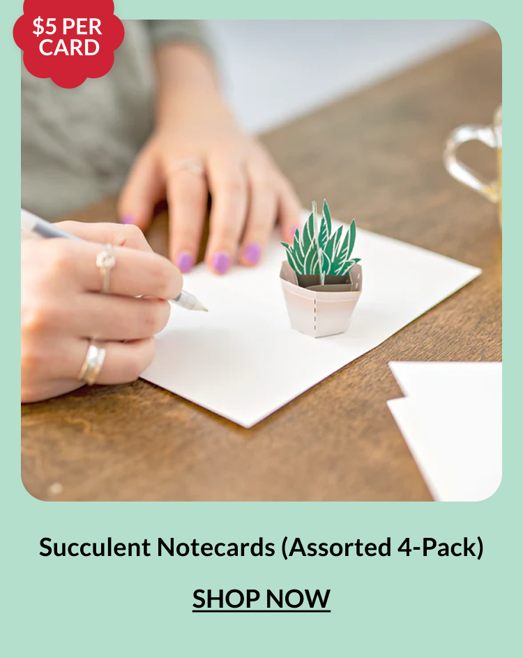 Succulent Notecards Assorted 4-Pack