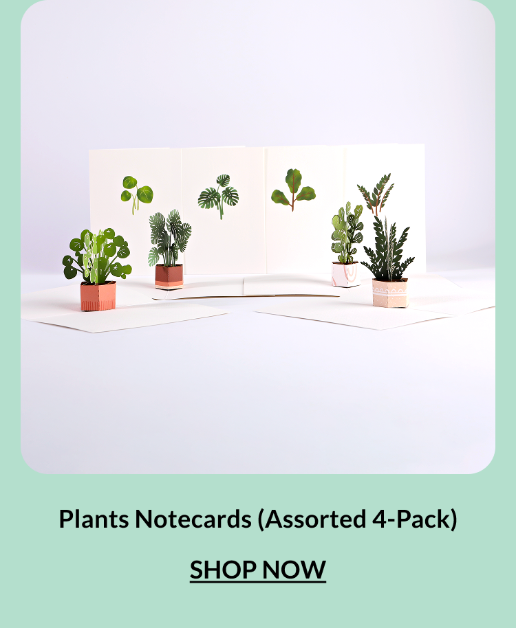 Plants Notecards Assorted 4-Pack