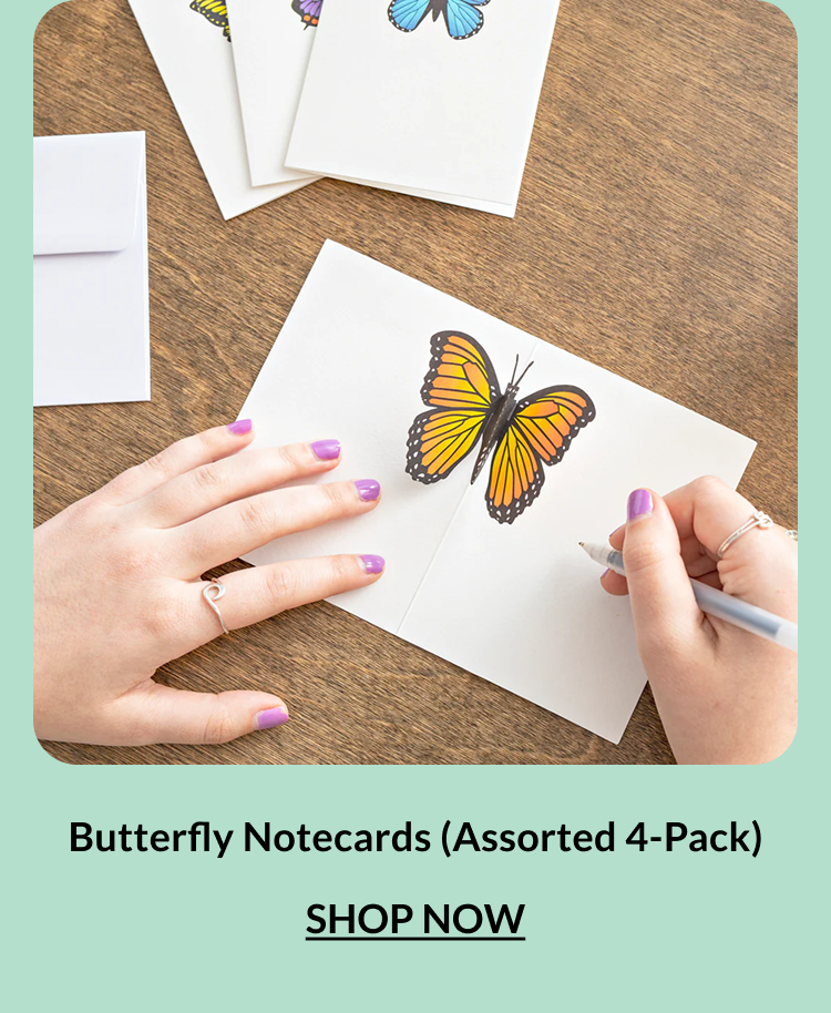 Butterfly Notecards Assorted 4-Pack