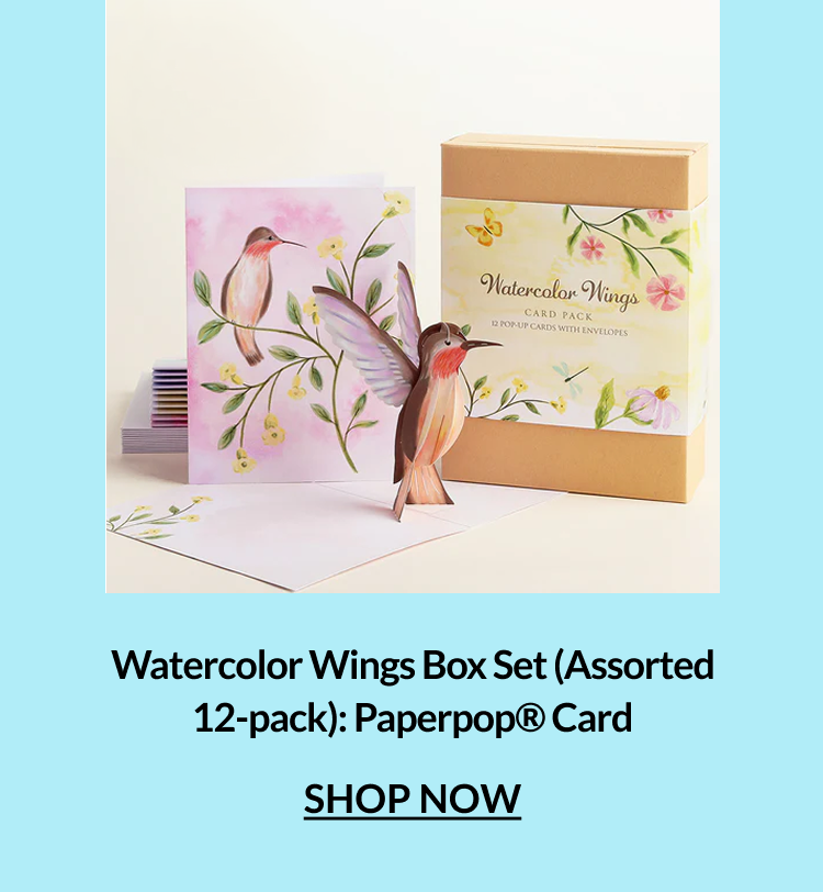 Watercolor Wings Box Set Assorted 12-Pack Paperpop Card