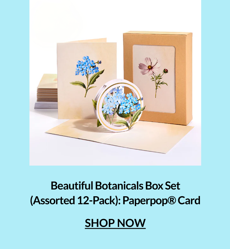 Beautiful Botanicals Box Set Assorted 12-Pack Paperpop Card