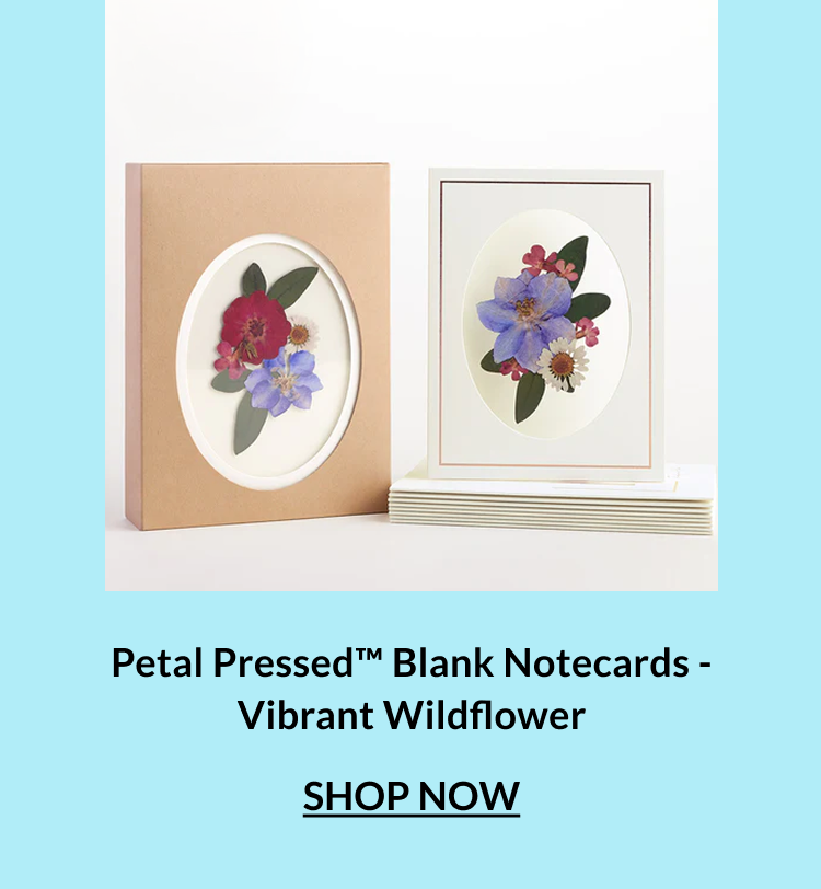 Petal Pressed Blank Notecards Vibrant Wildflower