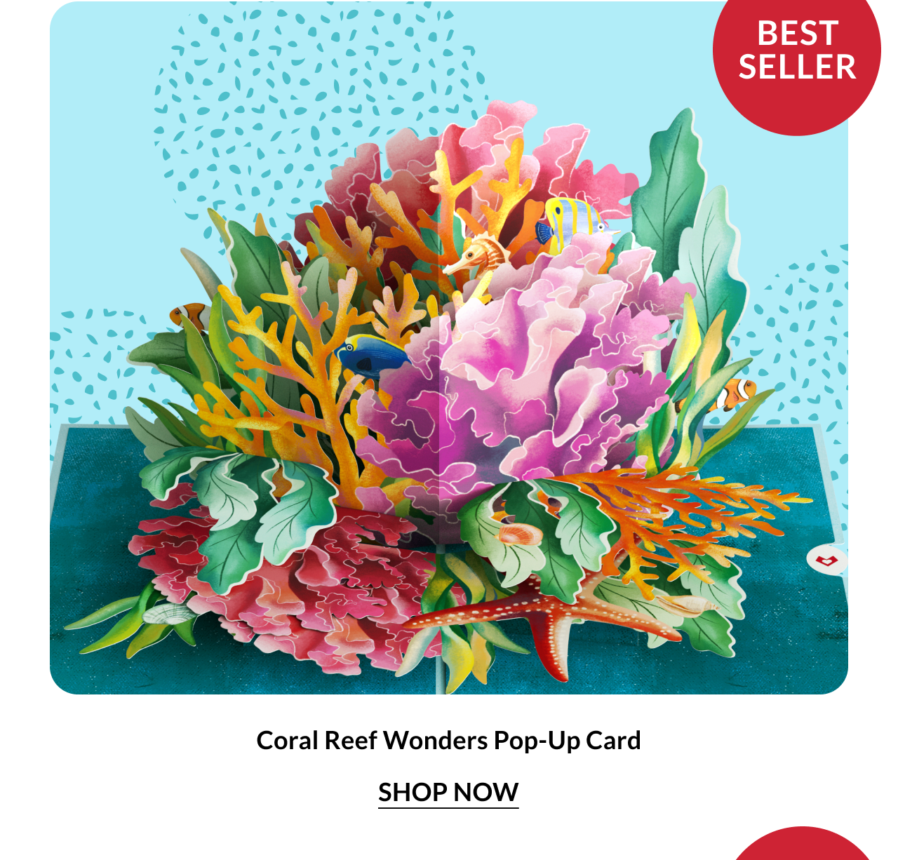 Coral Reef Wonders Pop-Up Card — vibrant underwater ocean scene with tropical fish and coral