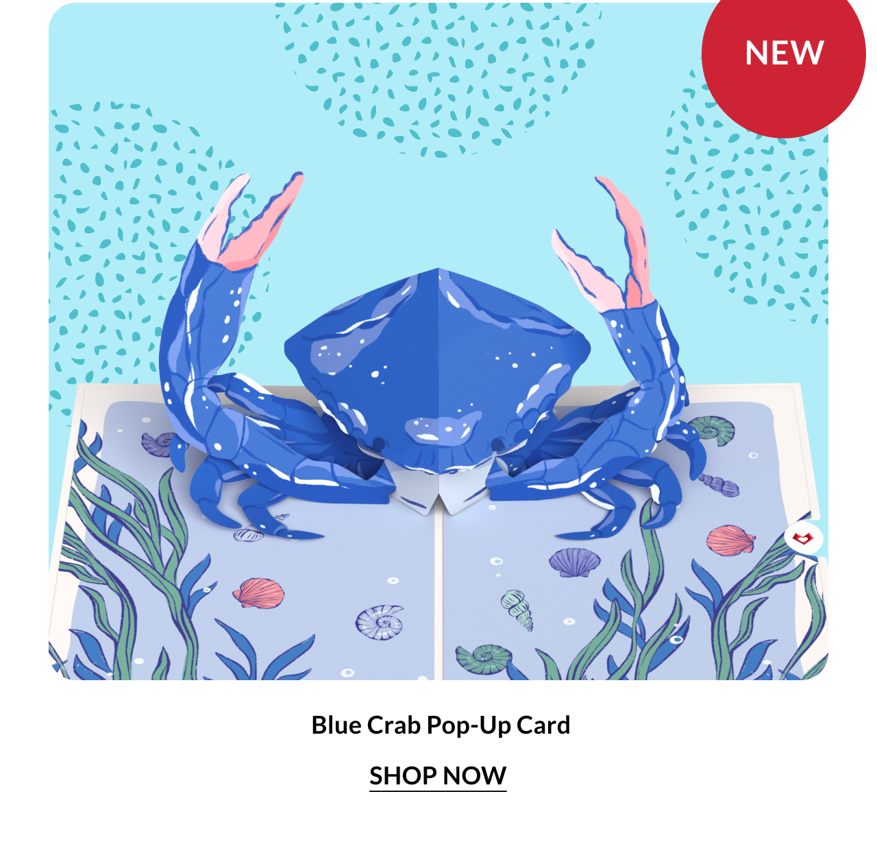 Blue Crab Pop-Up Card — detailed blue crab in a coastal summer setting