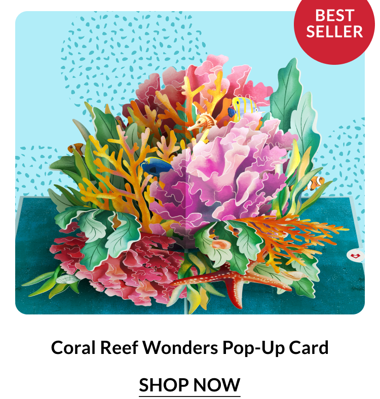 Coral Reef Wonders Pop-Up Card — vibrant underwater ocean scene with tropical fish and coral
