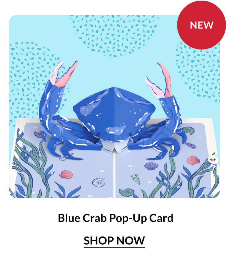 Blue Crab Pop-Up Card — detailed blue crab in a coastal summer setting