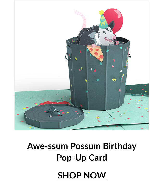 Awe-ssum Possum Birthday Pop-Up Card