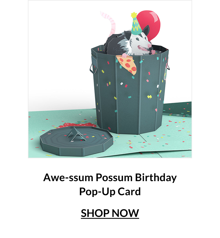 Awe-ssum Possum Birthday Pop-Up Card