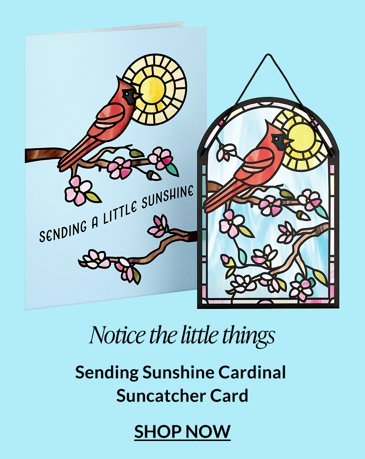 Sending Sunshine Cardinal Suncatcher Card