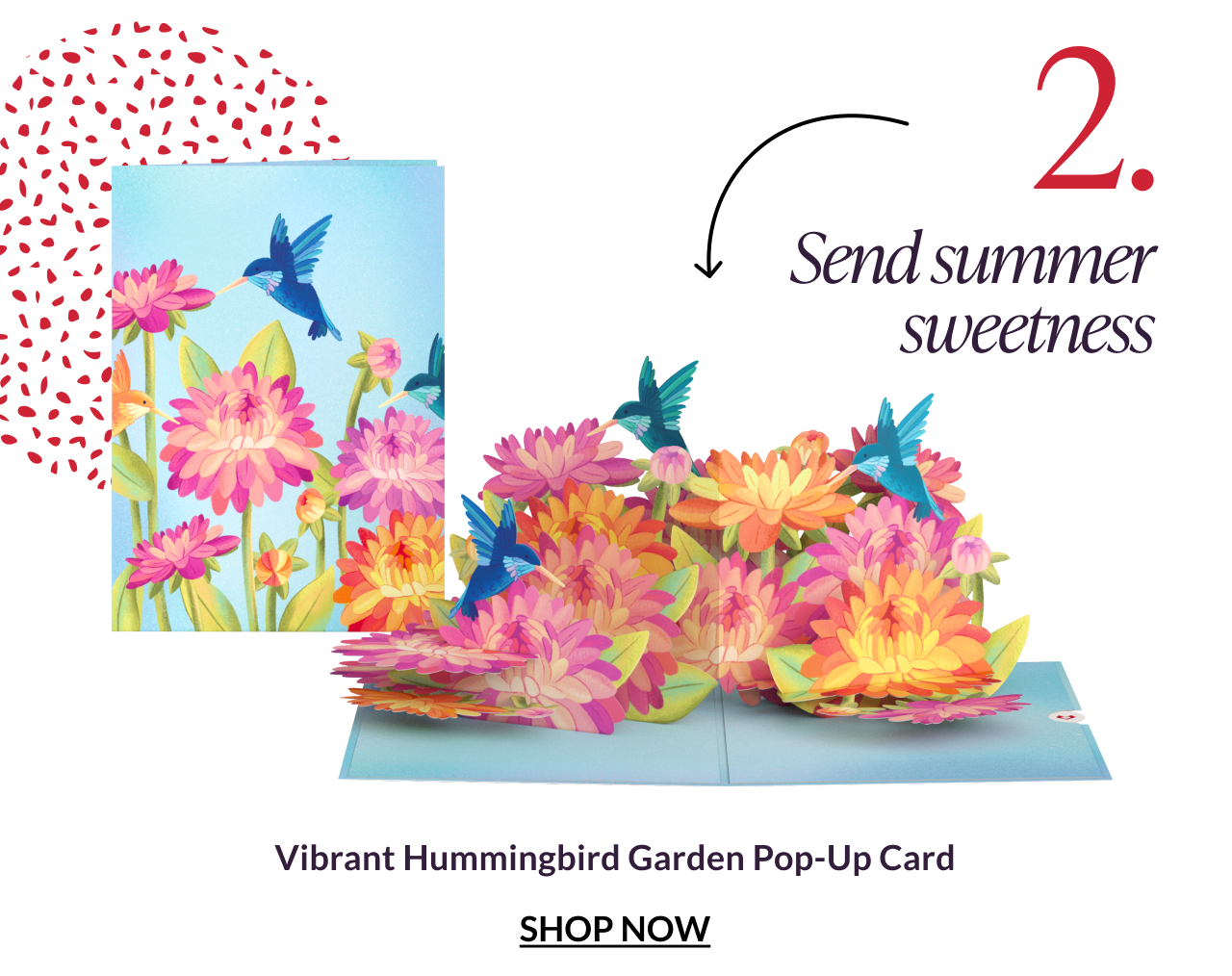 Vibrant Hummingbird Garden Pop-Up Card.
