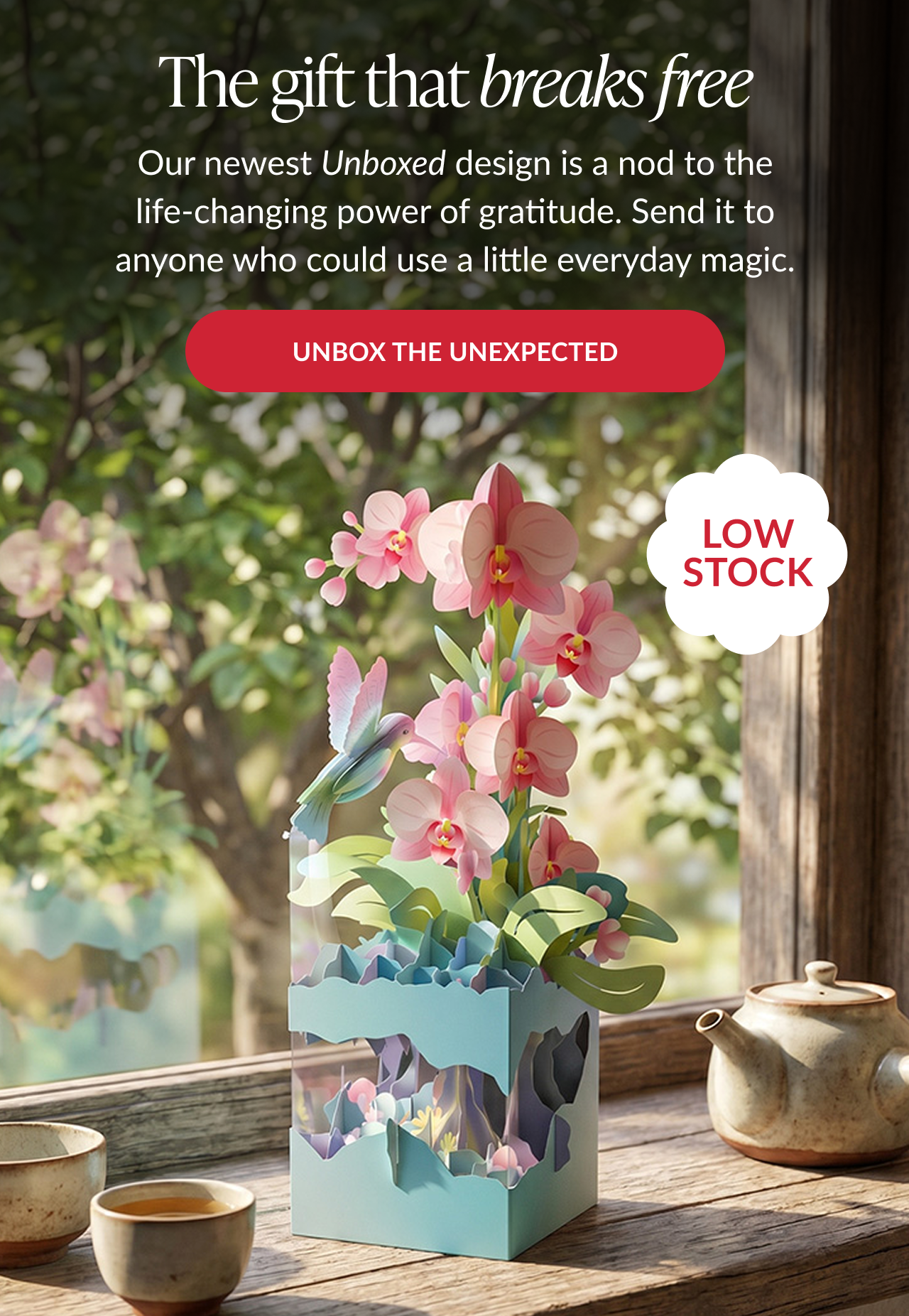 Shop more new Lovepop arrivals.