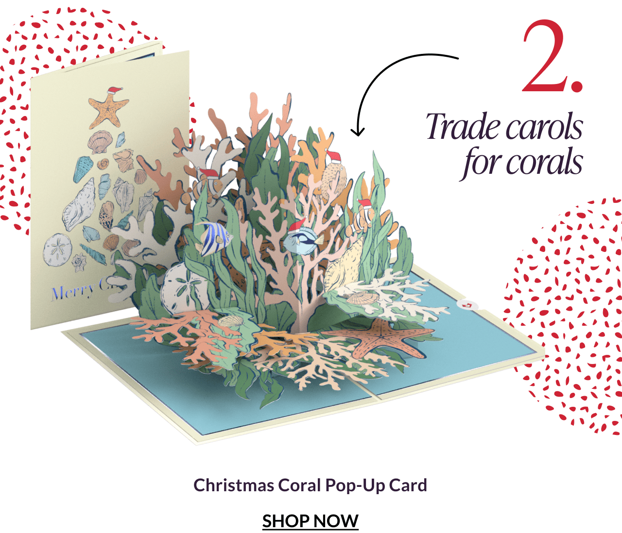 Christmas Coral Pop-Up Card