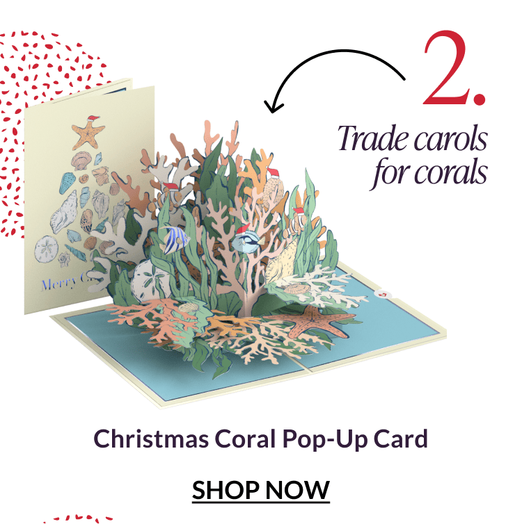 Christmas Coral Pop-Up Card