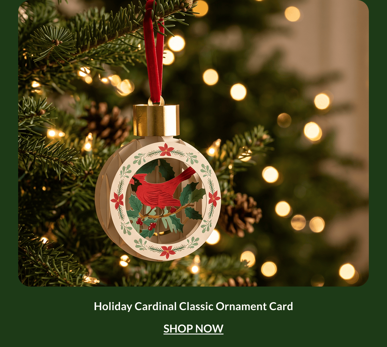 Holiday Cardinal Classic Ornament Card