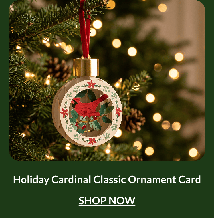 Holiday Cardinal Classic Ornament Card