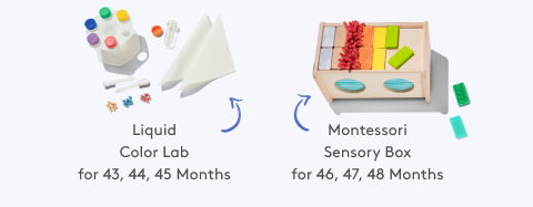 Liquid Color Lab for 43, 44, 45 months, Montessori Sensory Box for 46, 47, 48 months