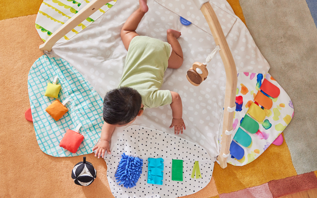 The Play Gym
