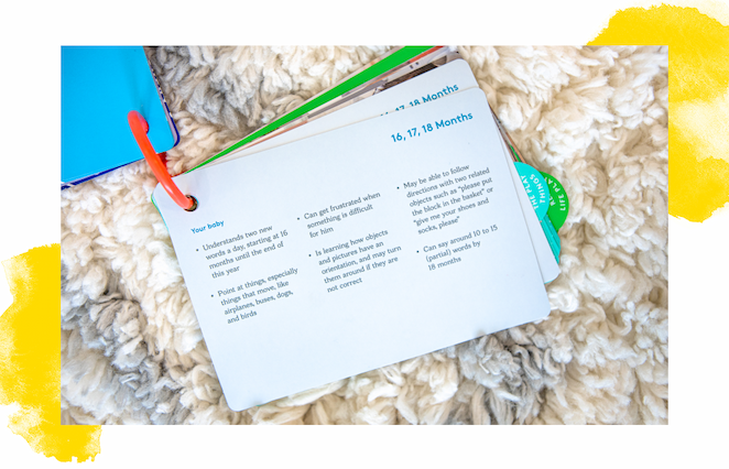 The Play Guide