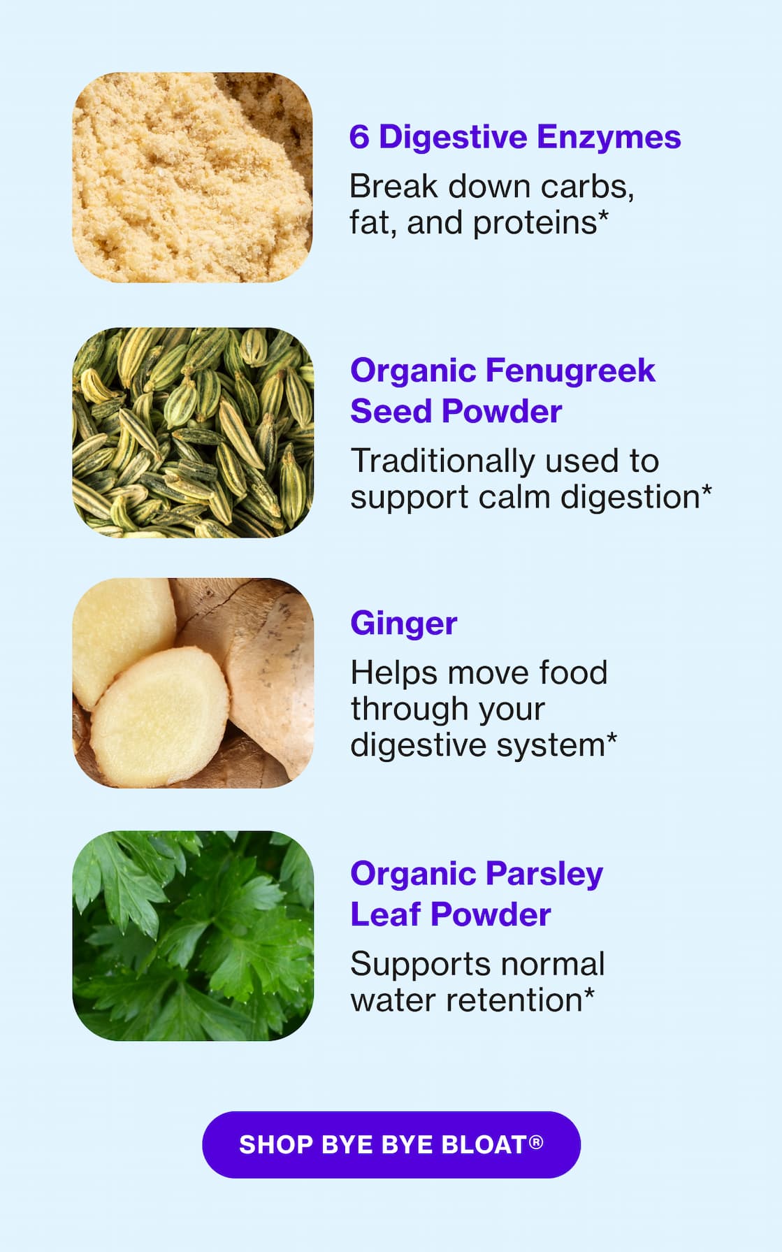 6 Digestive Enzymes | Organic Fenugreek Seed Powder | Ginger | Organic Parsley Leaf Powder | SHOP BYE BYE BLOAT
