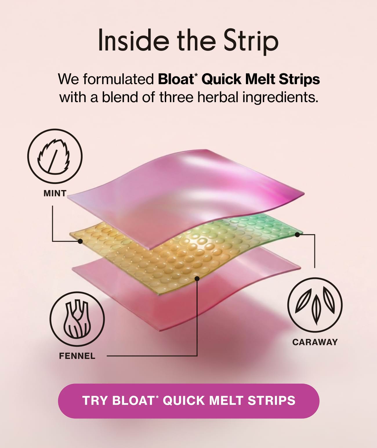 Inside the Strip We formulated Bloat* Quick Melt Strips with a blend of three herbal ingredients. TRY BLOAT* QUICK MELT STRIPS
