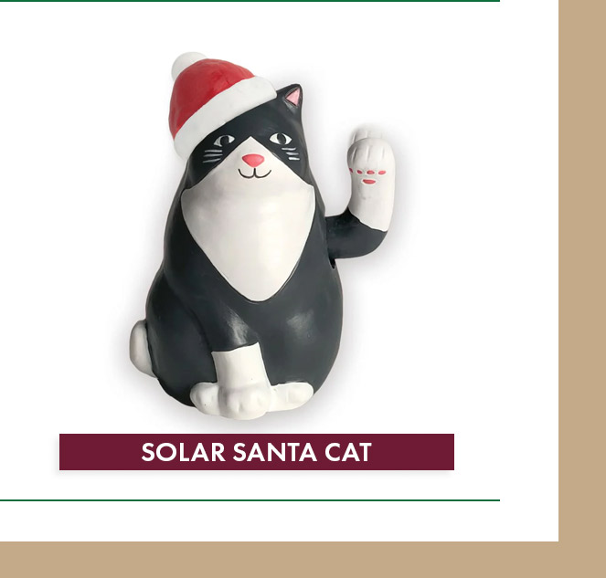 Solar Santa Cat