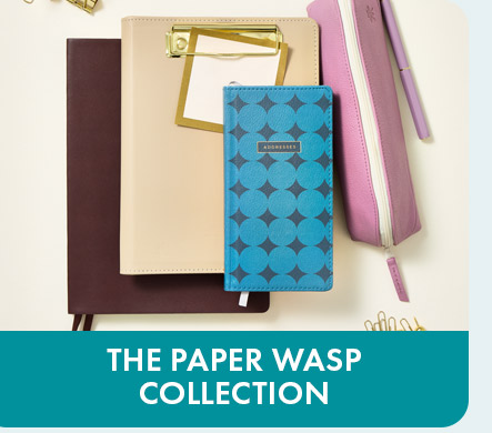 Paper Wasp Collection
