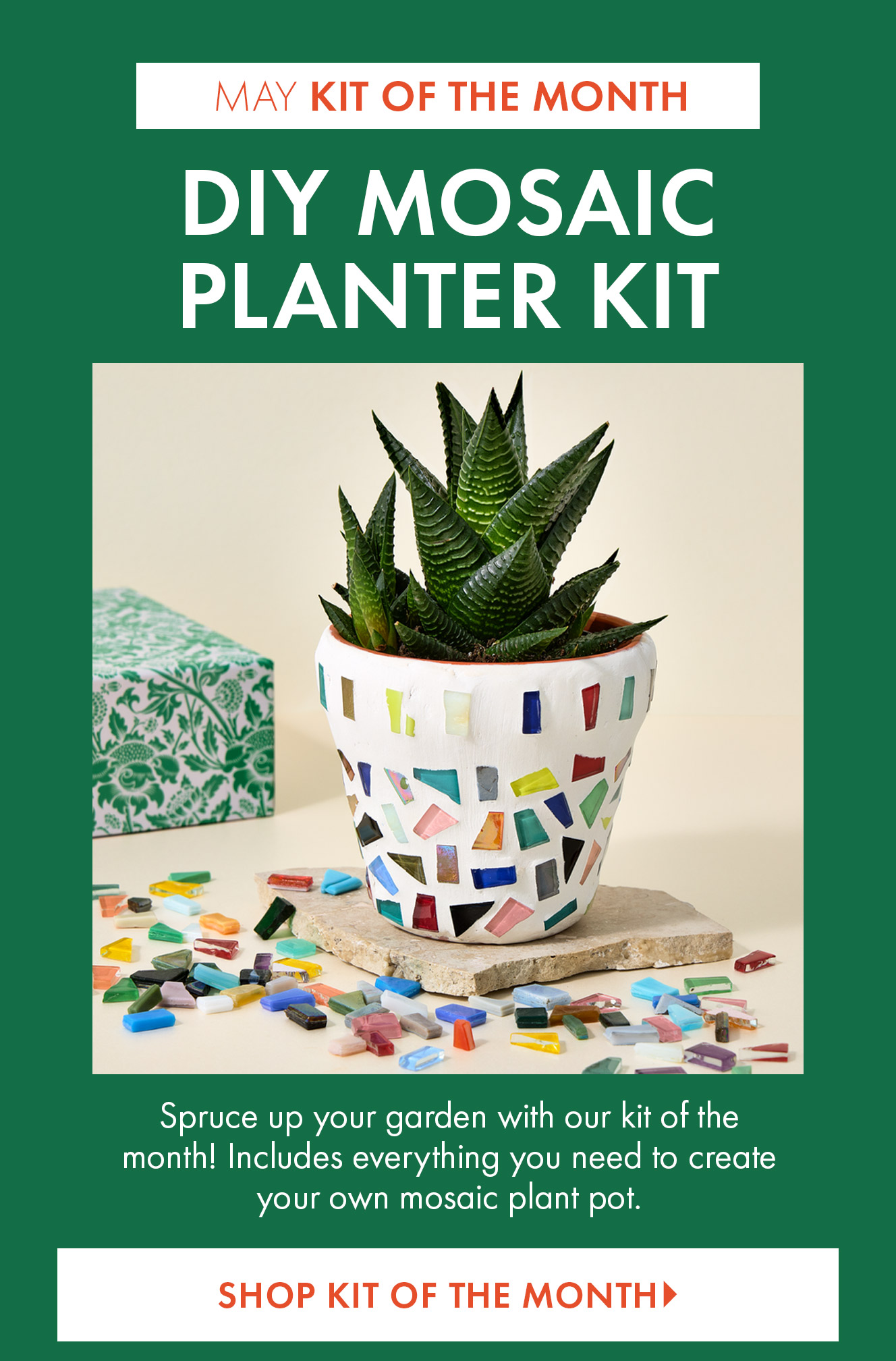 DIY Mosaic Planter Kit
