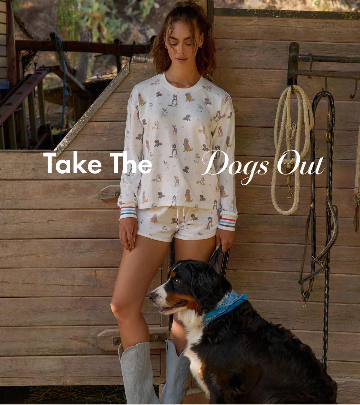 Take the dogs out...