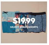 $19.99 Select Boardshorts