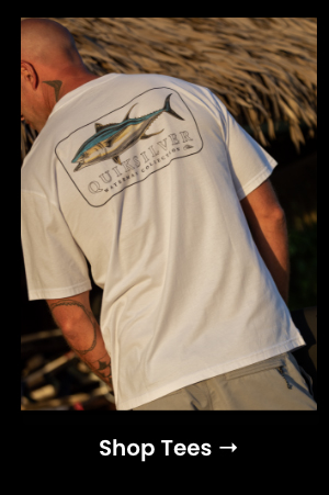 Shop Tees