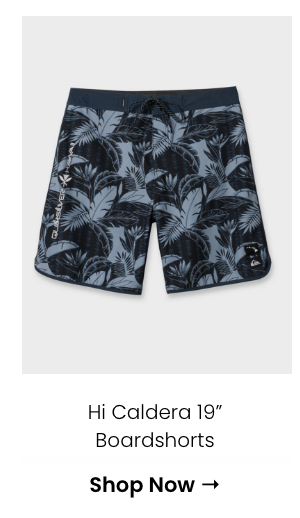 Hi Caldera 19" Boardshorts