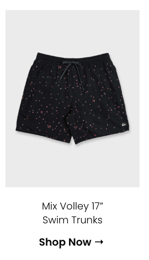 Mix Volley 17" Swim Trunks