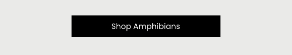 Shop Amphibians