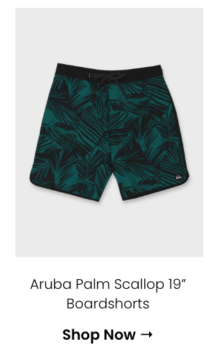 Aruba Palm Scallop 19" Boardshorts