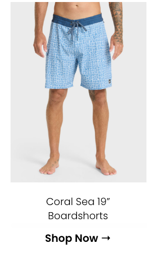 Coral Sea 19" Boardshorts