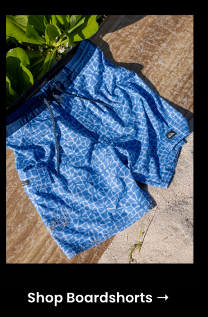 Shop Boardshorts