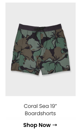 Coral Sea 19" Boardshorts